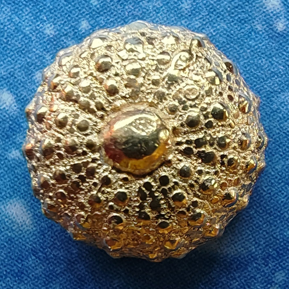 Seeigel Gold Ohrstecker Maritim Schmuck