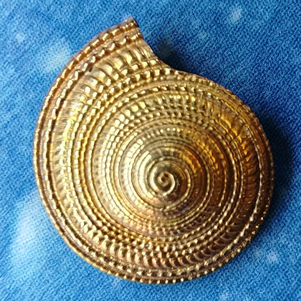 Sonne Strand Meer Gold Ohrstecker