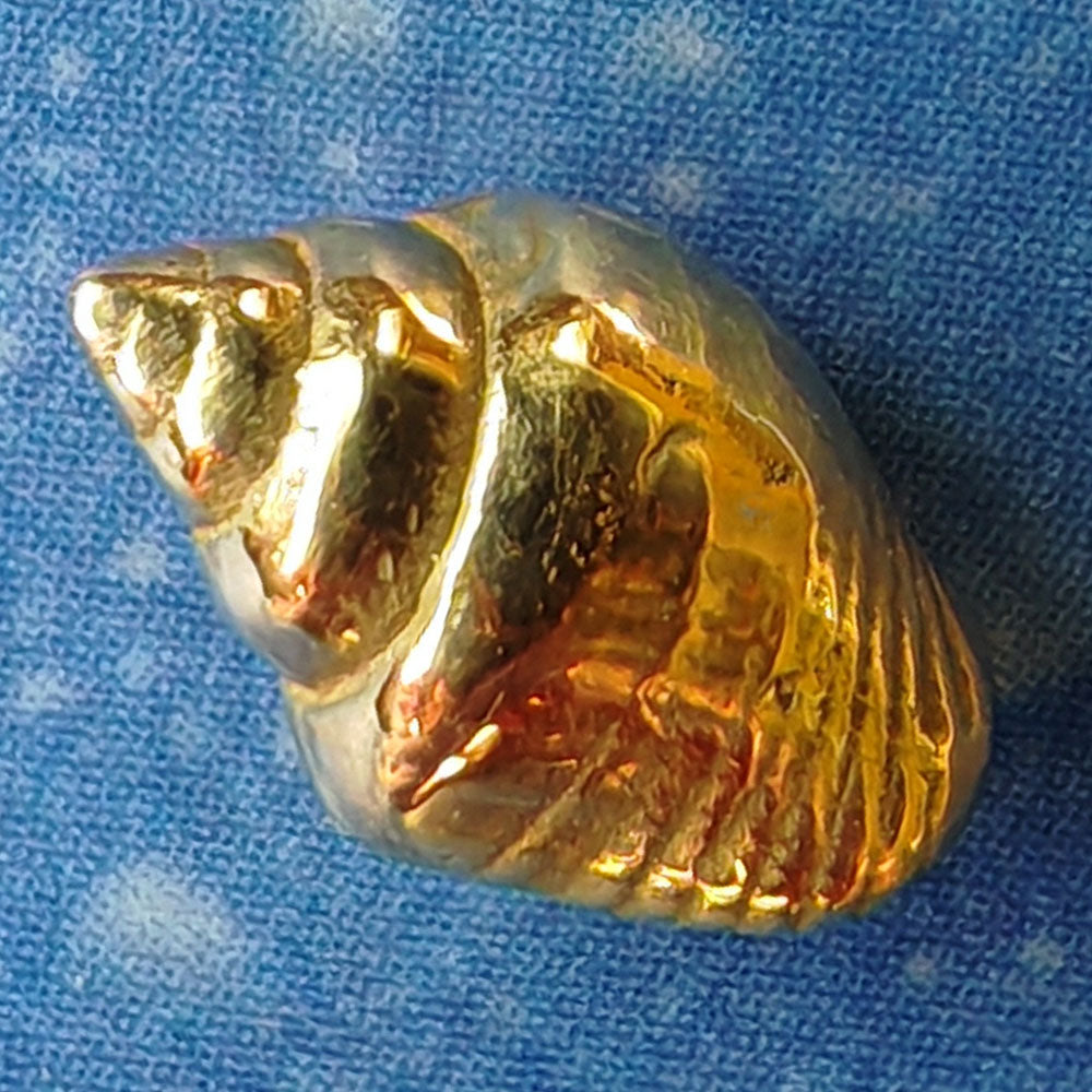 Ohrstecker Gold maritimes Design