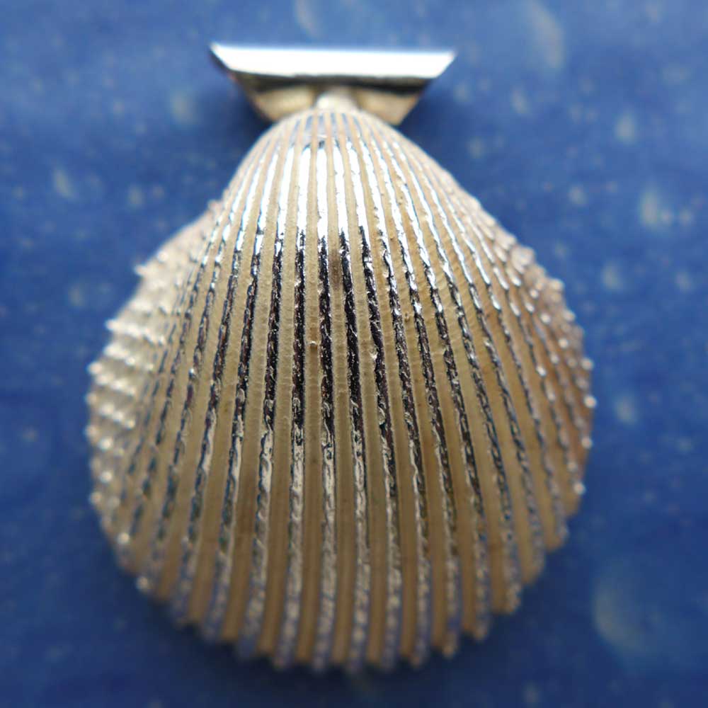 Herzmuschel Silber Schmuck Anhänger