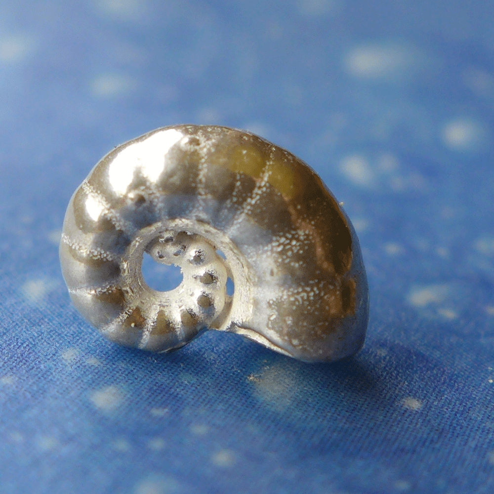 Insel Strand Schmuck Posthornschnecke xs