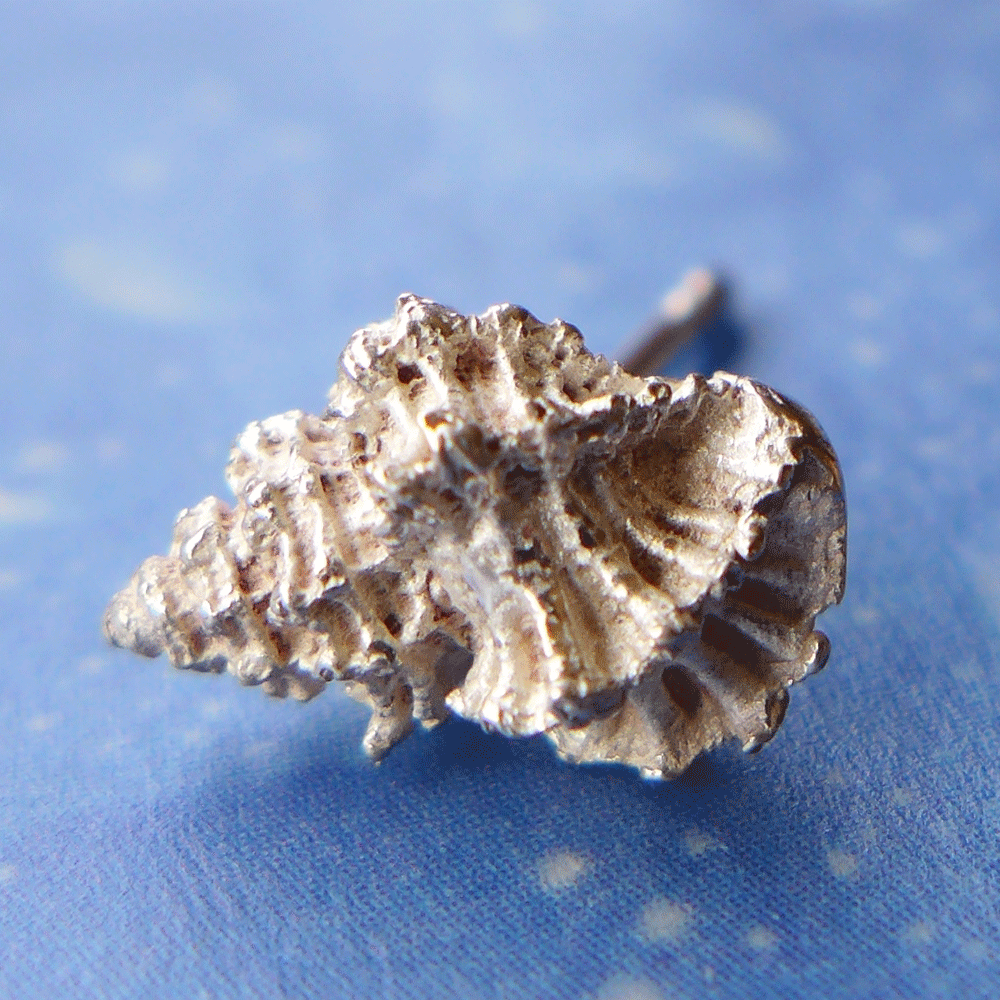 Schmuck Onlineshop Ohrringe Stachelschnecke