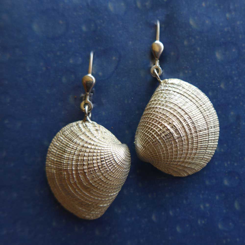Inselschmuck Ohrringe Venusmuschel