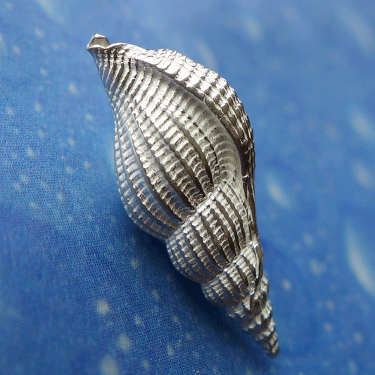 Inselschmuck Schnabelschnecke Ohrstecker