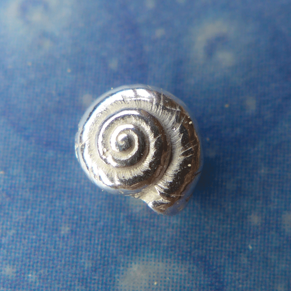 Inselschmuck Silber Ohrstecker Knopfschnecke xs