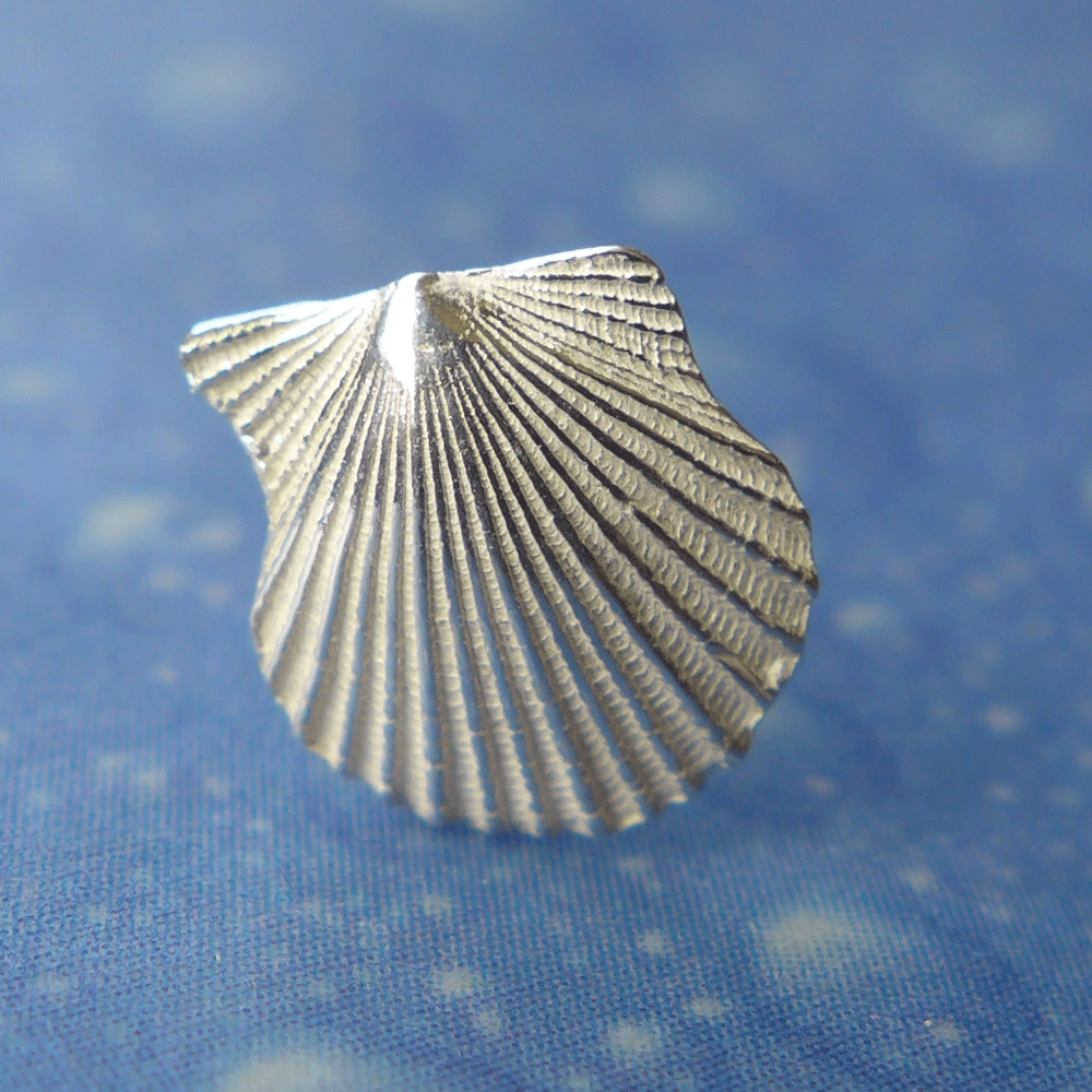 Pilgermuschel Jakobsmuschel Silber Ohrstecker xxs