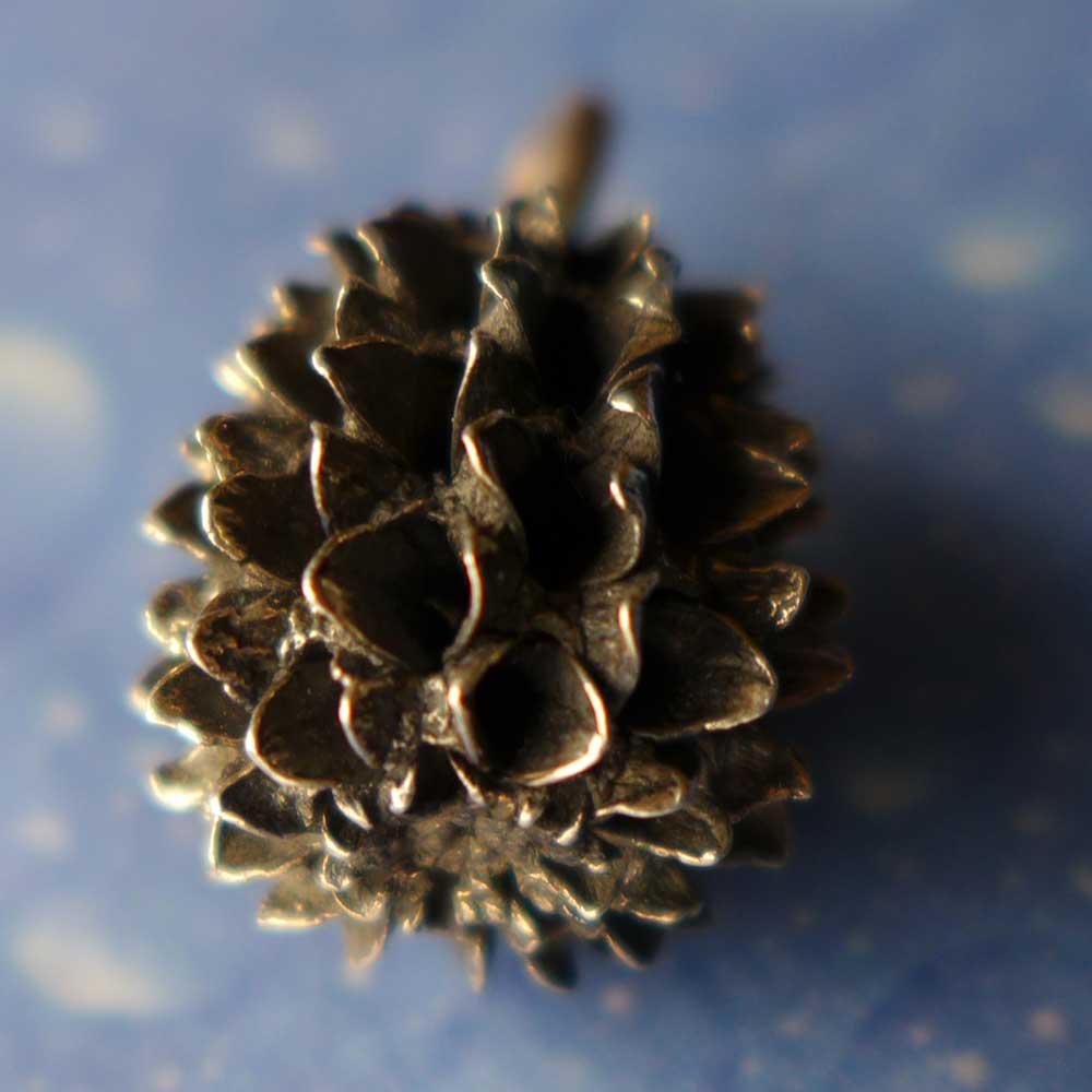 Kasuarinen Same Schmuck Anhänger geschwärzt