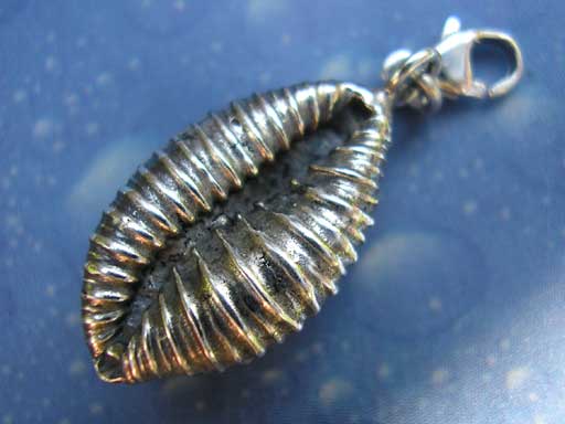 Charms Anhänger Silber Kauri