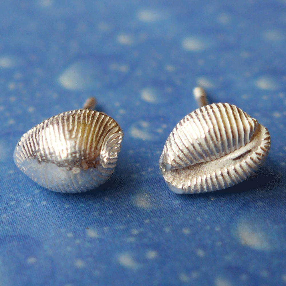 Schmuck Ohrstecker Kauri Silber