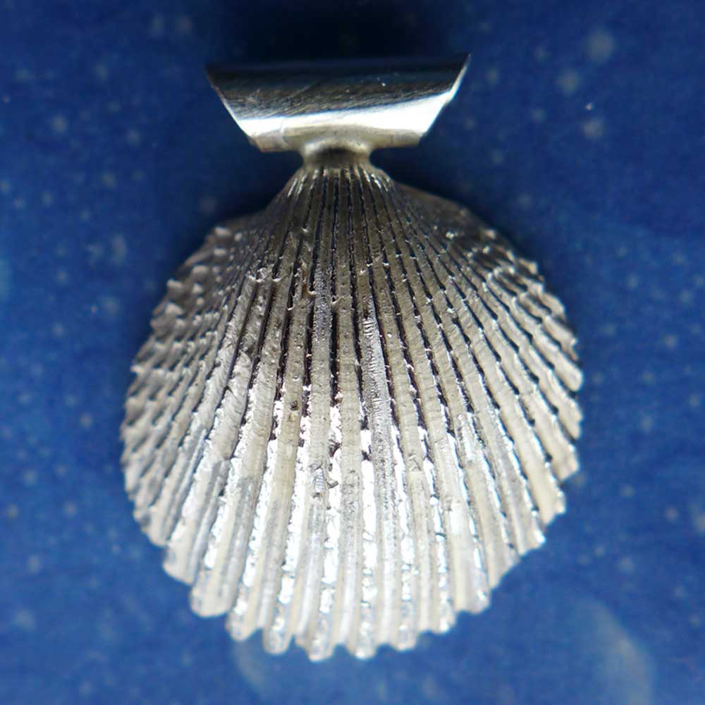 Herzmuschel Anhänger Silber Schmuck