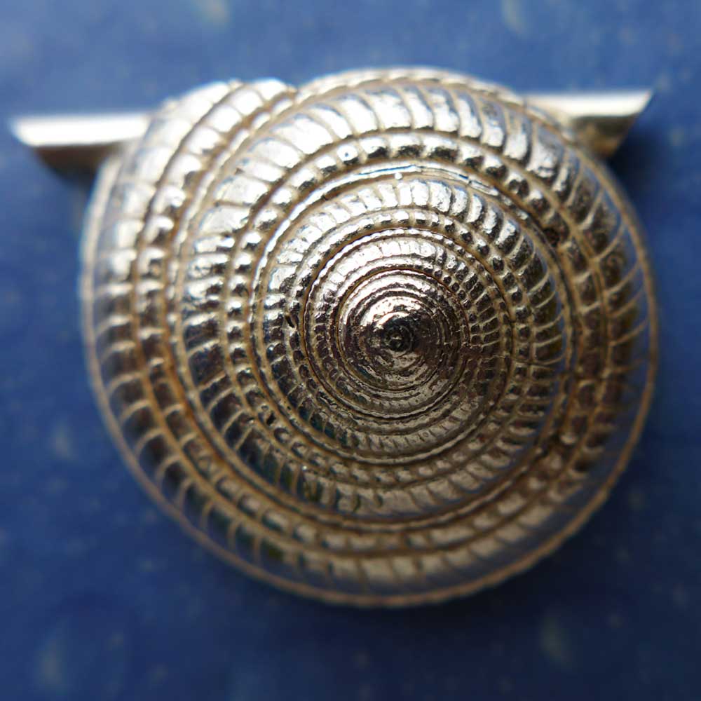 Schnecke Muscheln Anhänger Schmuck