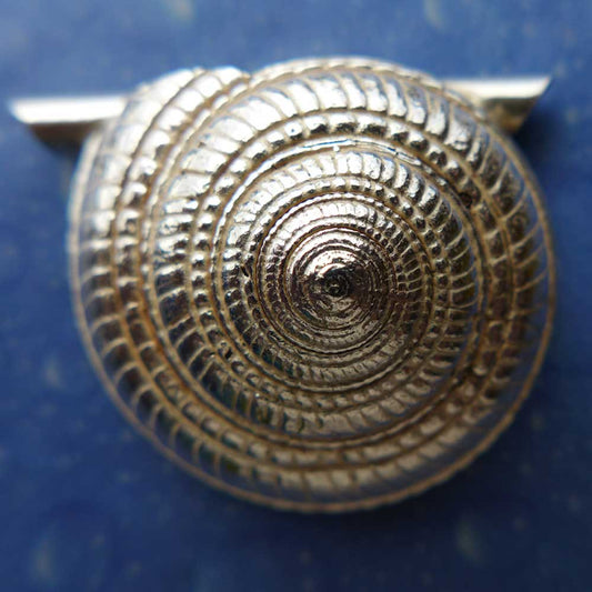 Schnecke Muscheln Anhänger Schmuck