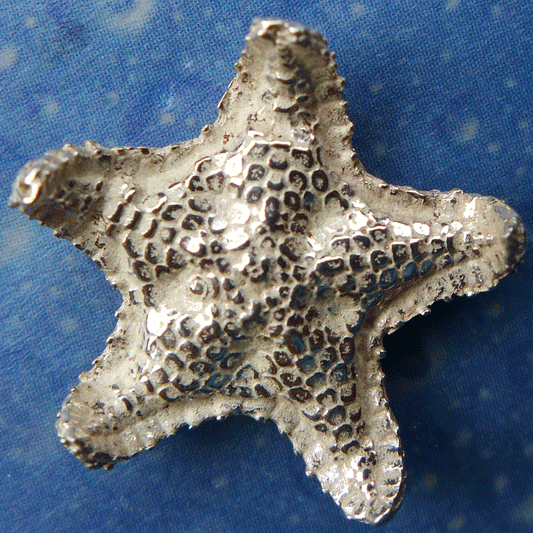 Kissen Seestern Schmuck Ohrstecker