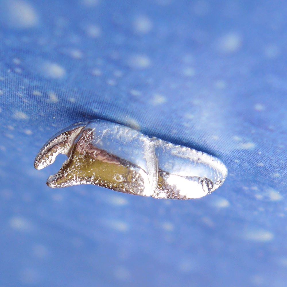 Krabbe Krebs Schere Schmuck Ohrstecker s