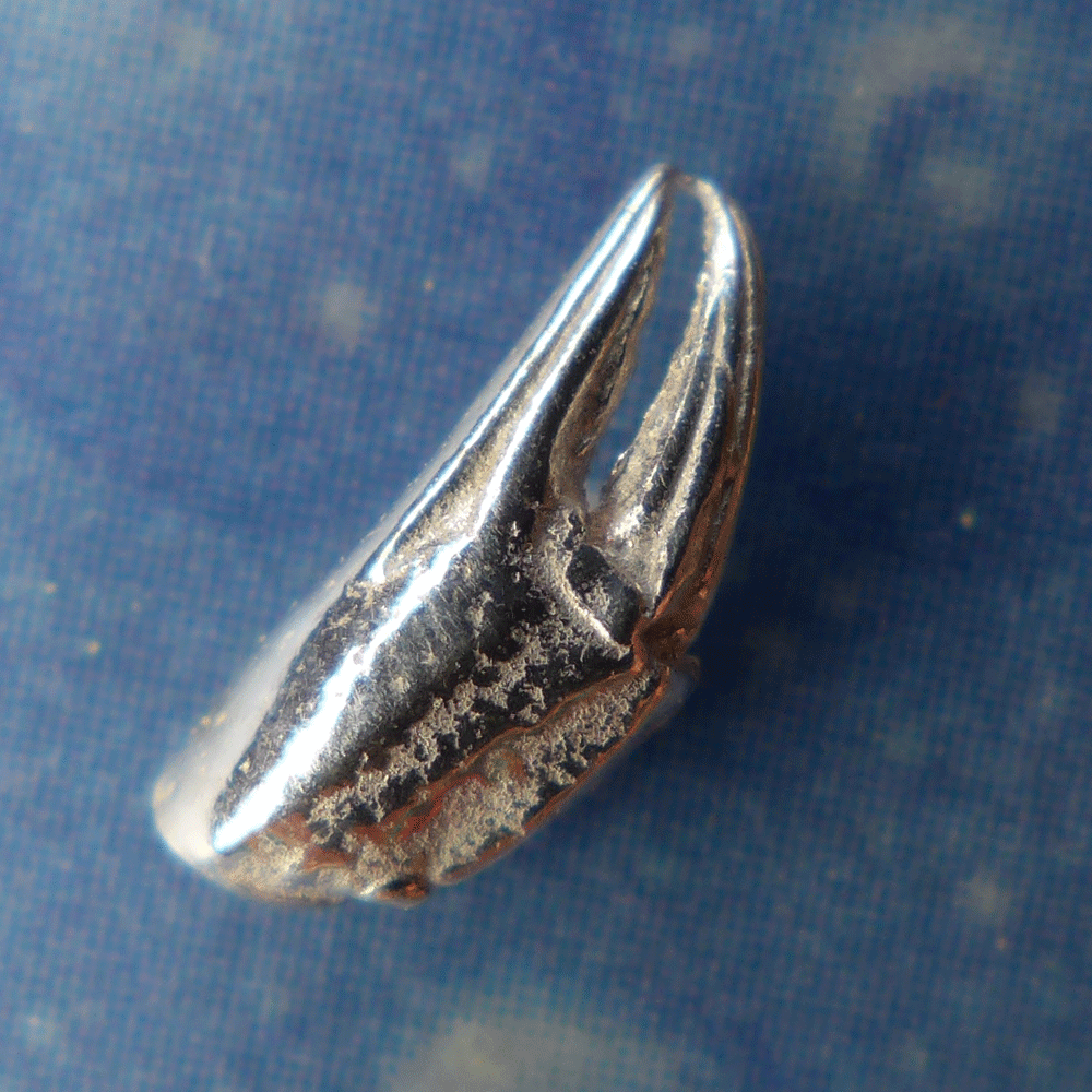 Krebs Krabbe Ohrstecker Silber xs