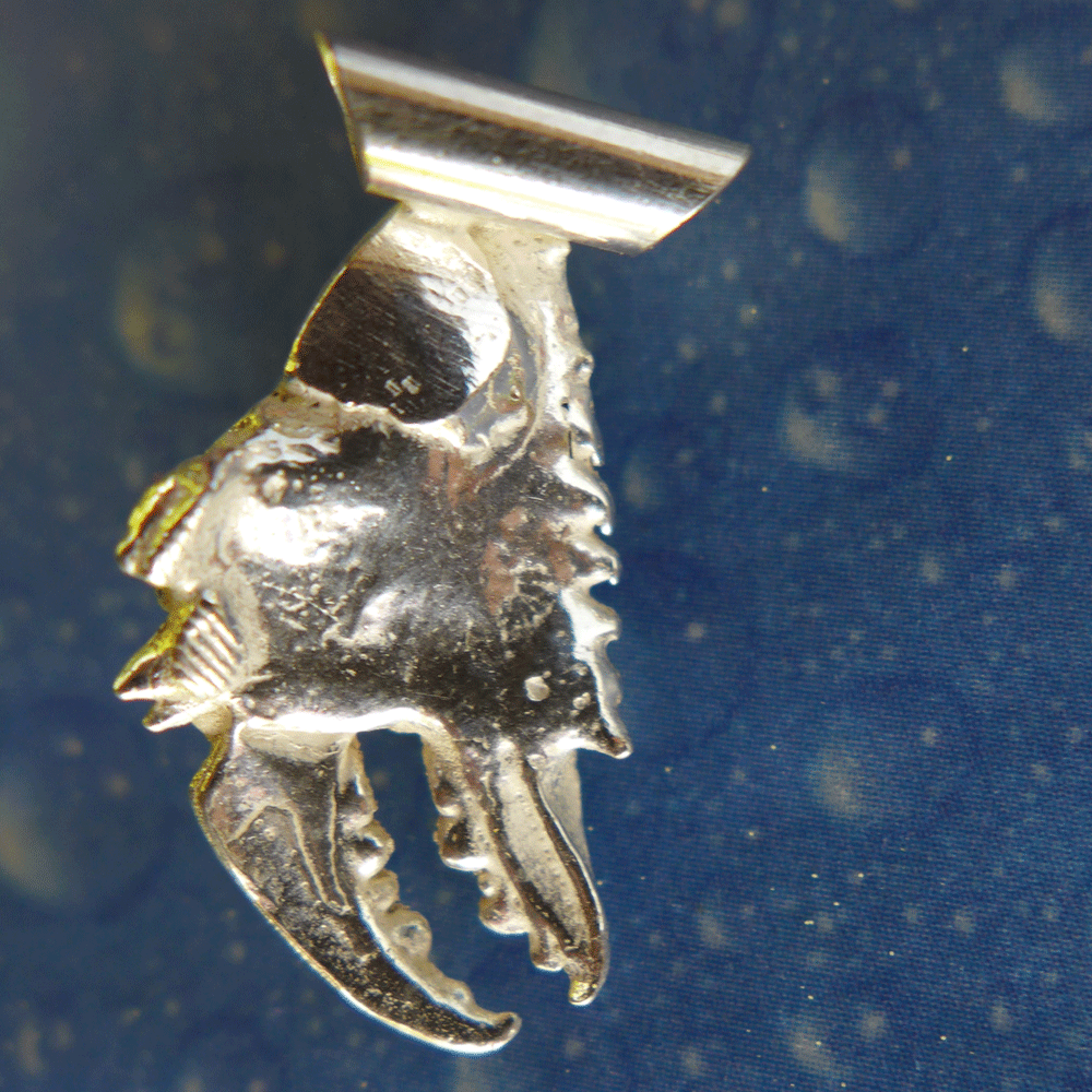 Krebsschere Anhänger Rückseite