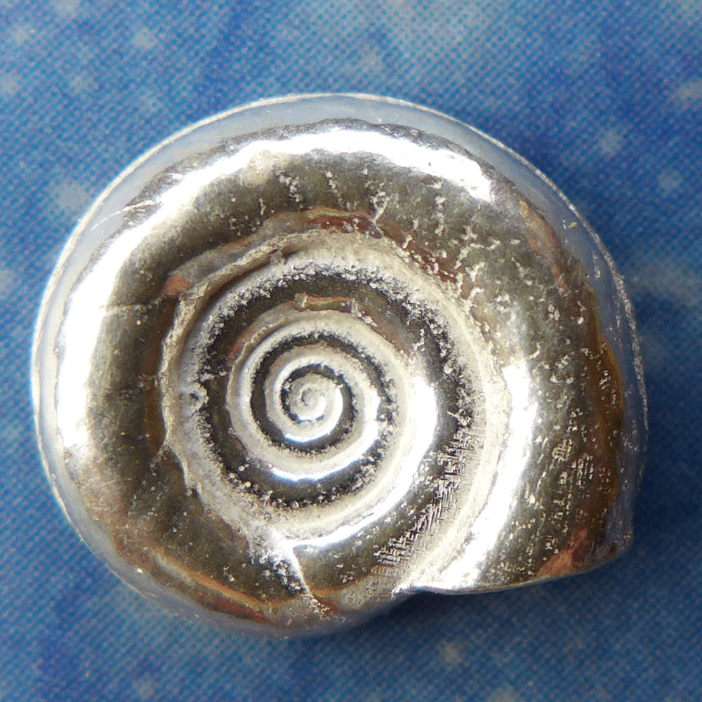 Lagunen Schmuck Schnecke Silber fl