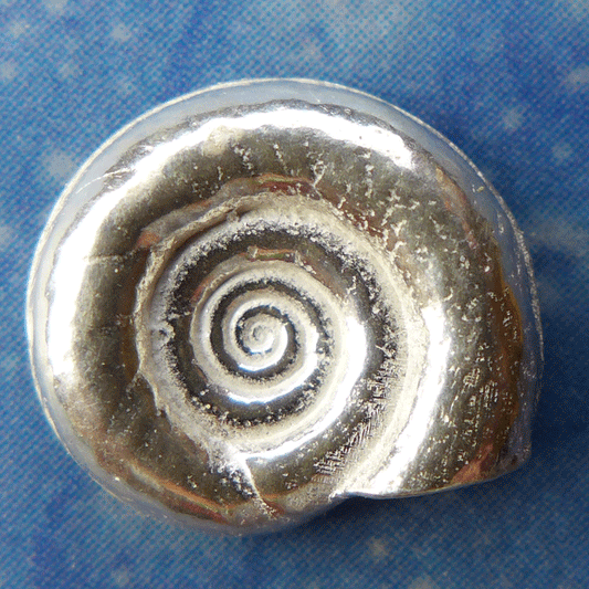 Lagunen Schmuck Schnecke Silber fl