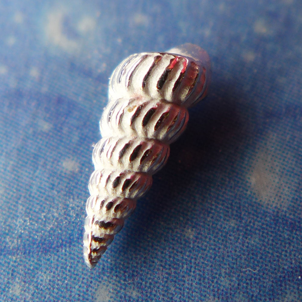 Ohrschmuck Maritim Silber Wendeltreppe fein