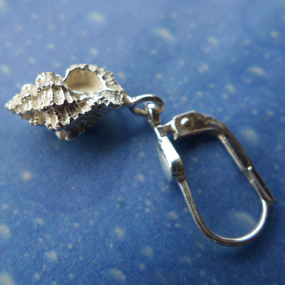 Maritimer Schmuck Ohrringe Stachelschnecke xxs