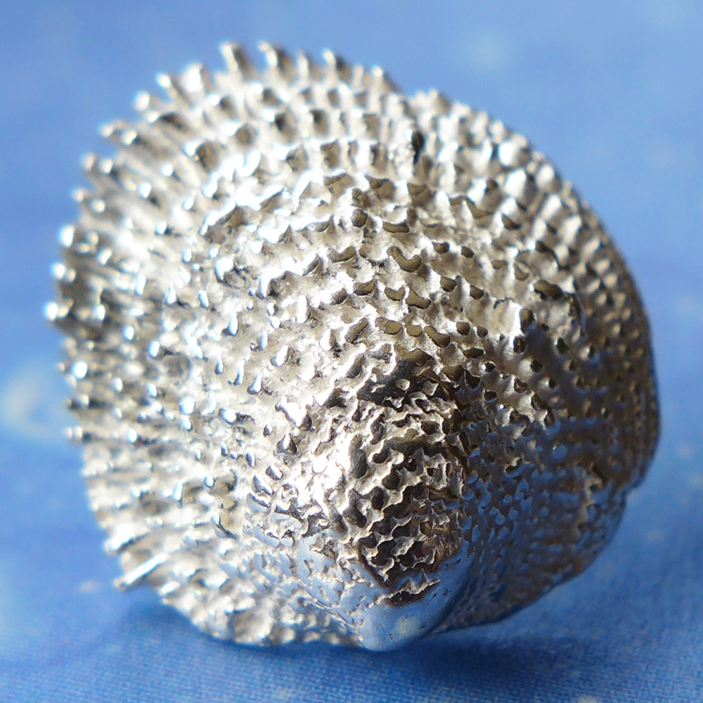 Maritime Ohrstecker Katzenzunge Schmuck