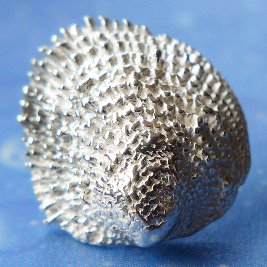 Maritime Ohrstecker Katzenzunge Schmuck