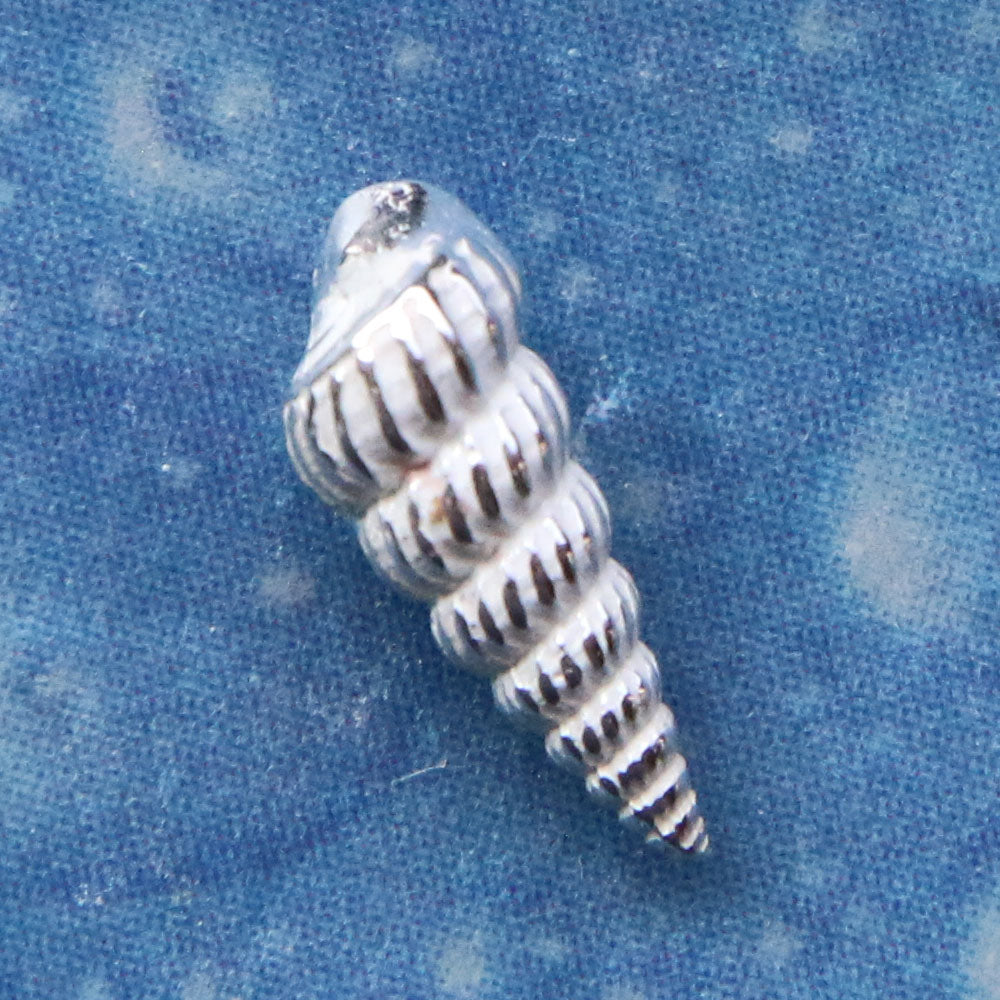 Ohrschmuck Maritim Silber Wendeltreppe fein