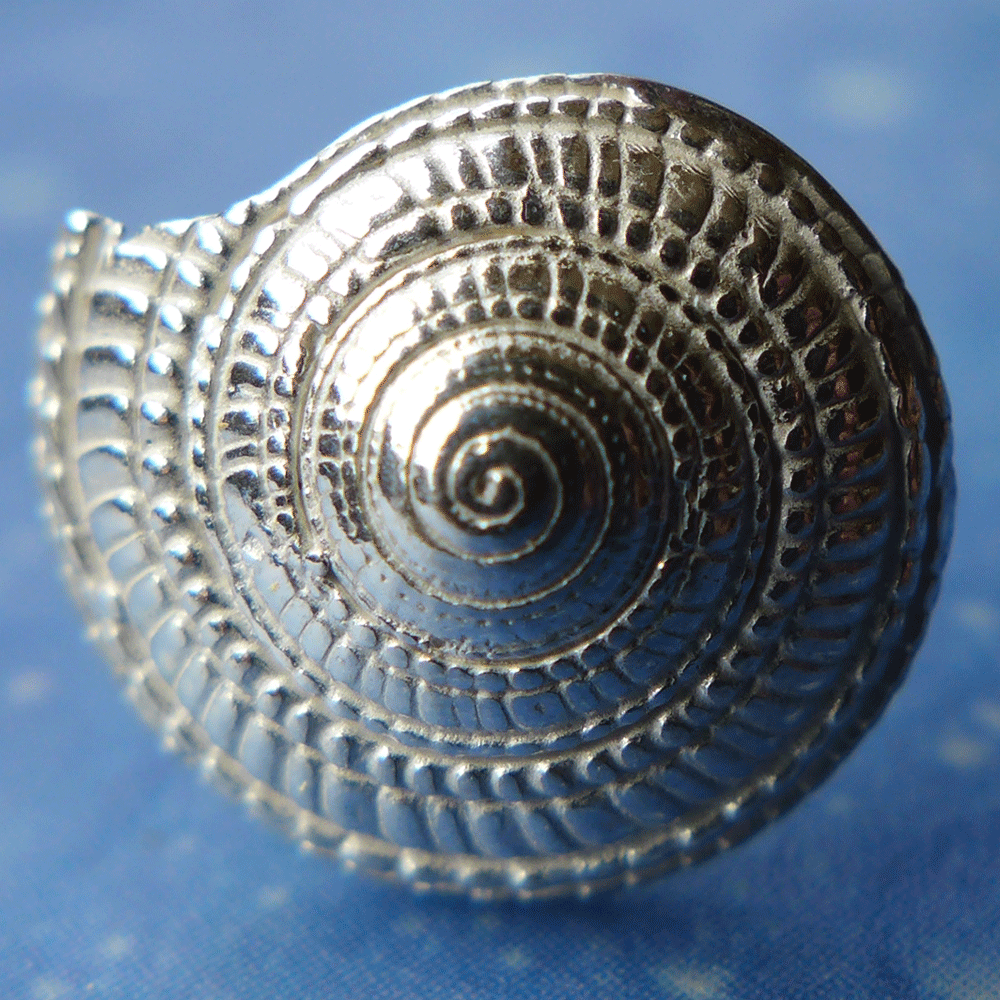 Maritime Ohrstecker Schmuck Sonnenuhrschnecke