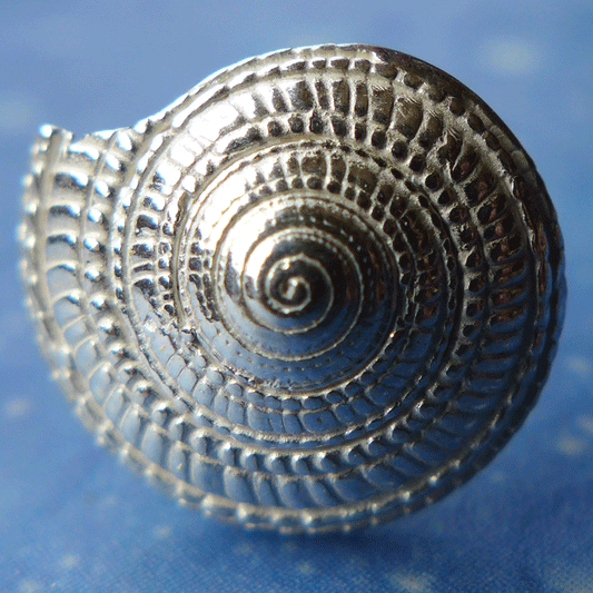 Maritime Ohrstecker Schmuck Sonnenuhrschnecke