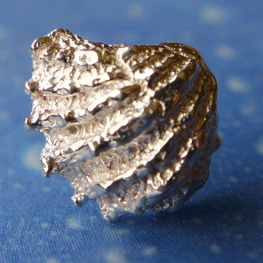 Maritimer Schmuck Ohrschmuck Fächermuschel