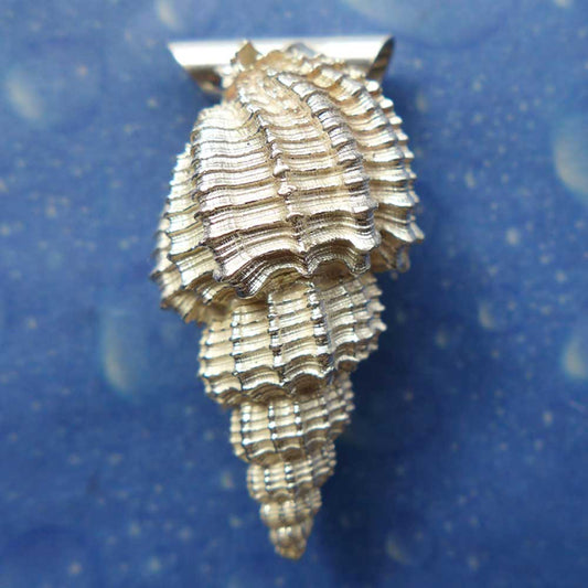 Maritimer Schmuck Anhänger Dornen Schnecke l