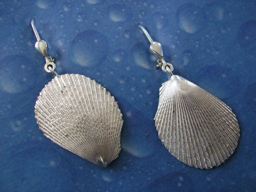 Maritimer Schmuck Ohrhänger Feilen Muschel