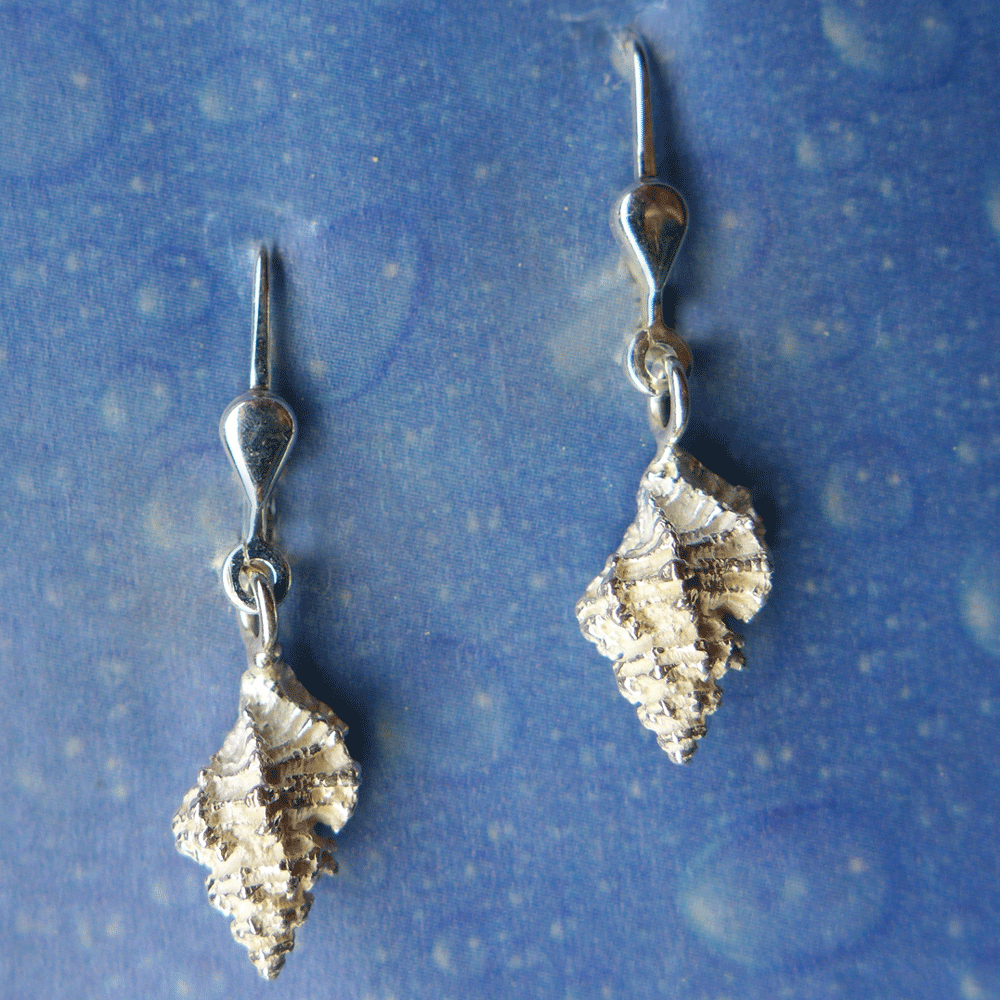 Maritime Ohrringe Stachelschnecke xxs