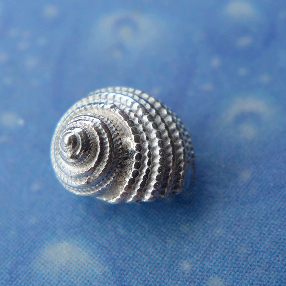 Meer Ohrringe Silber Erdbeerschnecke