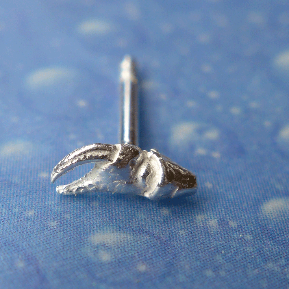 Meer Ohrstecker Krabbenschere Krebs xxxs