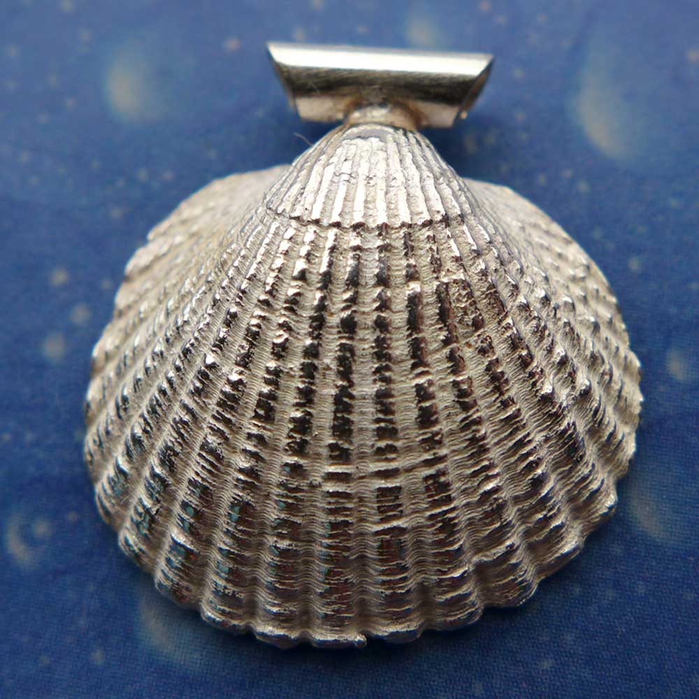Meer Schmuck Anhänger Kamm Muschel