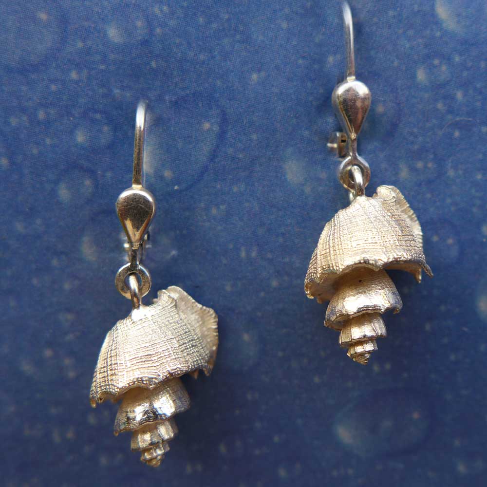 Meer Schmuck Ohrringe Muskatnuss Rückseite