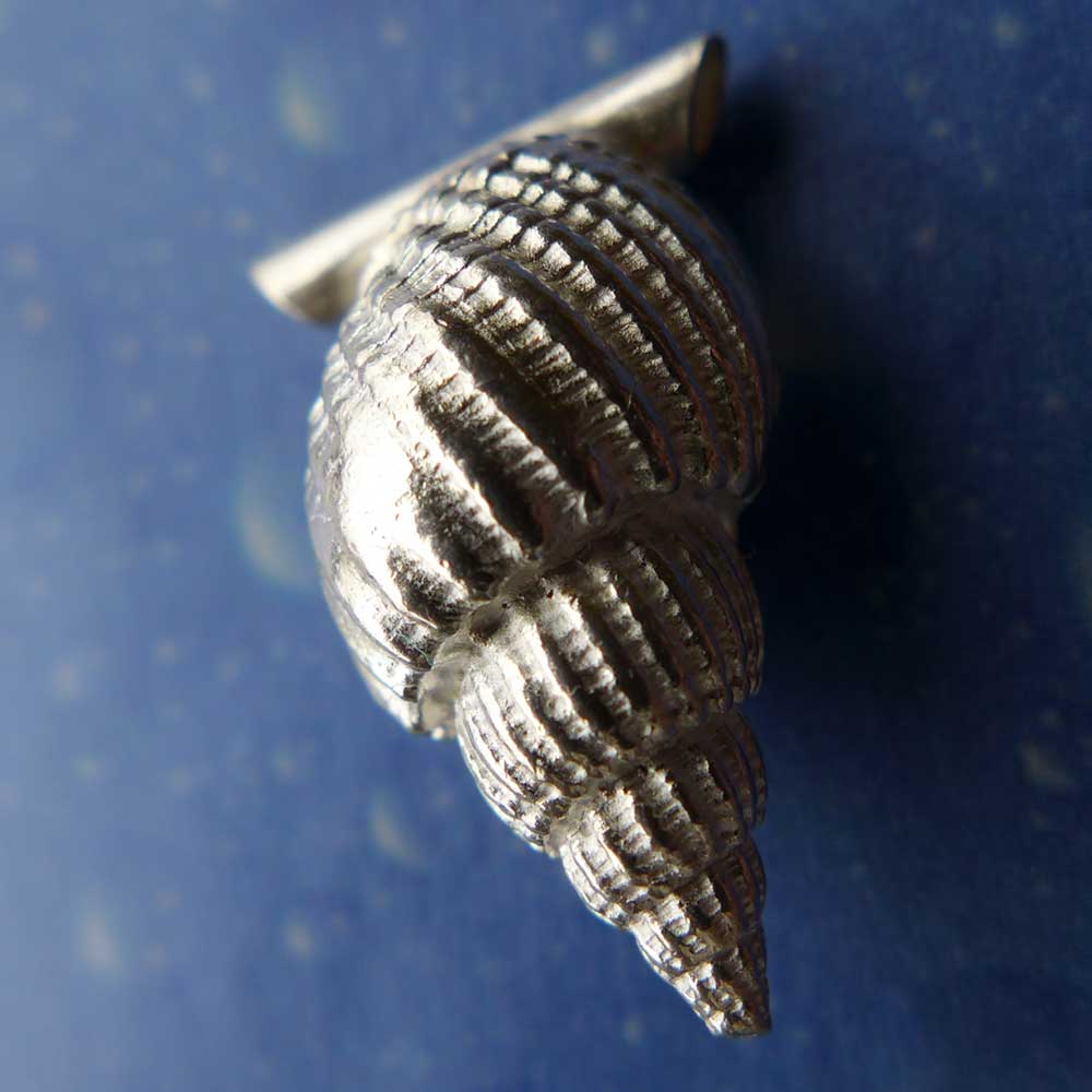 Meer Schmuck Silber Schnecke Muskatnuss
