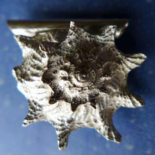 Meeres Design Anhänger Sonnen Schnecke