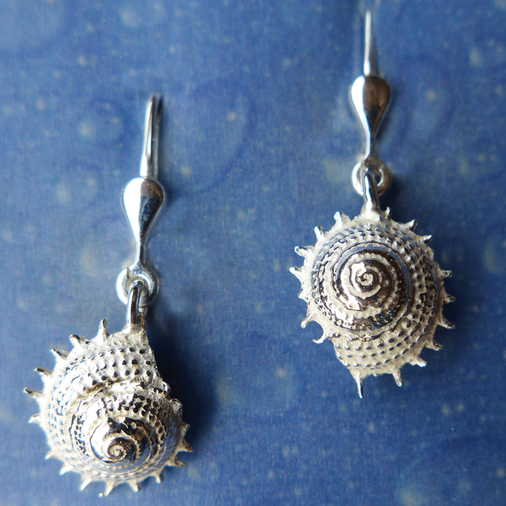 Meeres Ohrringe Sonne Silber fein St.