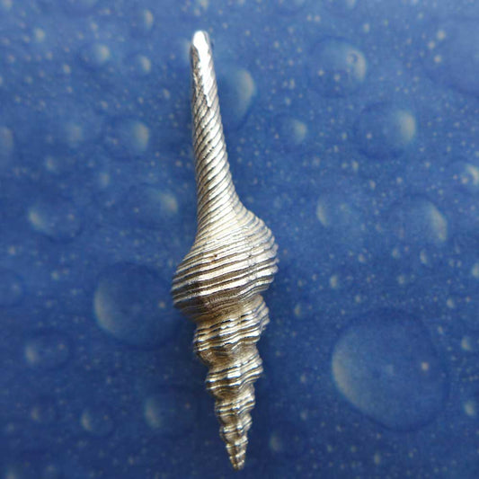 Meeresgeschenk Anhänger Spindel Schnecke