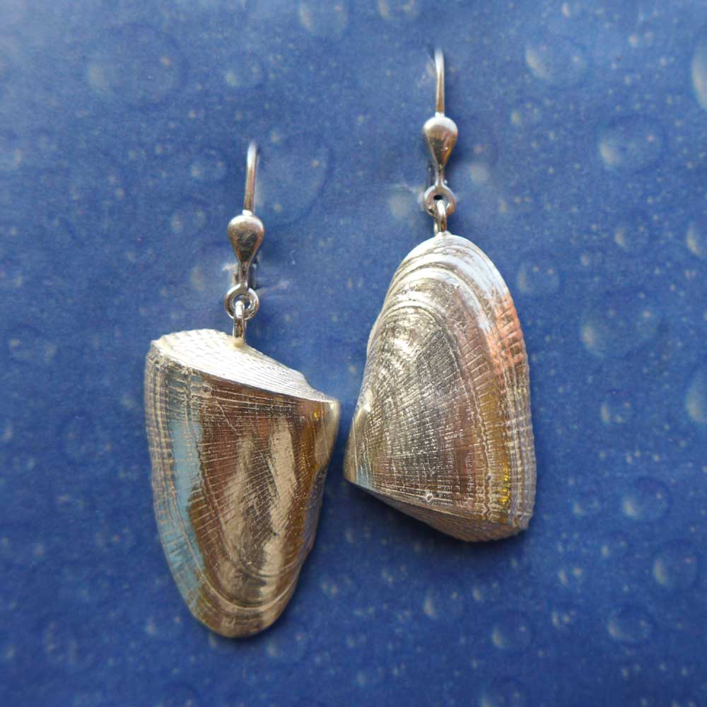 Meeresmotiv Muschel Ohrring Sägezahn