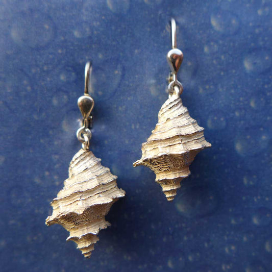 Meeresmotiv Silber Ohrhänger Felsschnecke