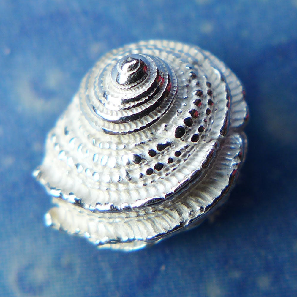 Meeresschnecke Ohrschmuck Silber Ohrstecker