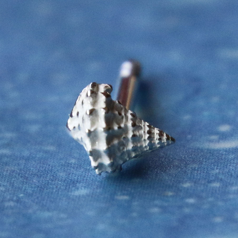 Meeresschnecke Schmuck Ohrstecker Silber