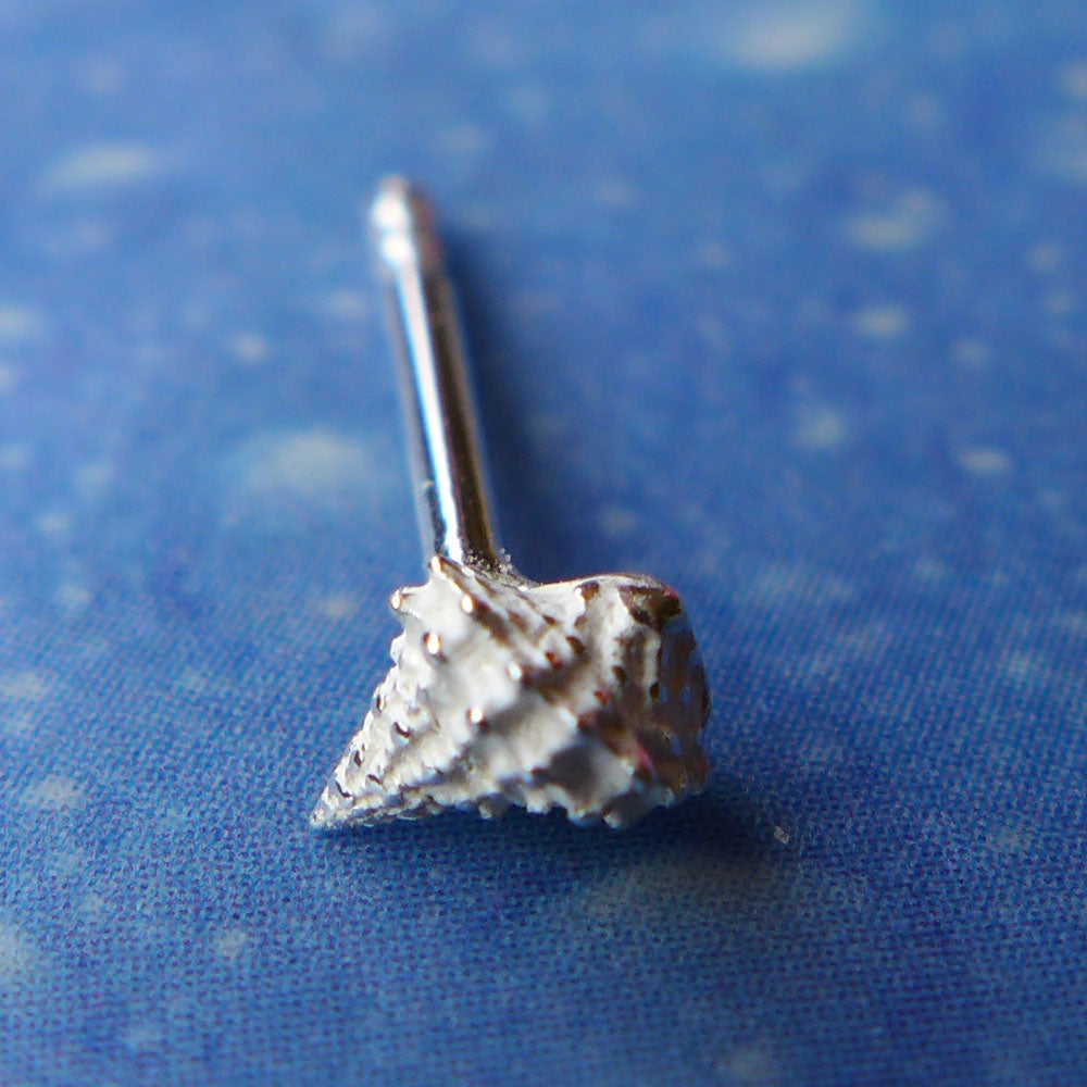 Meeresschnecke Schmuck Ohrstecker Silber
