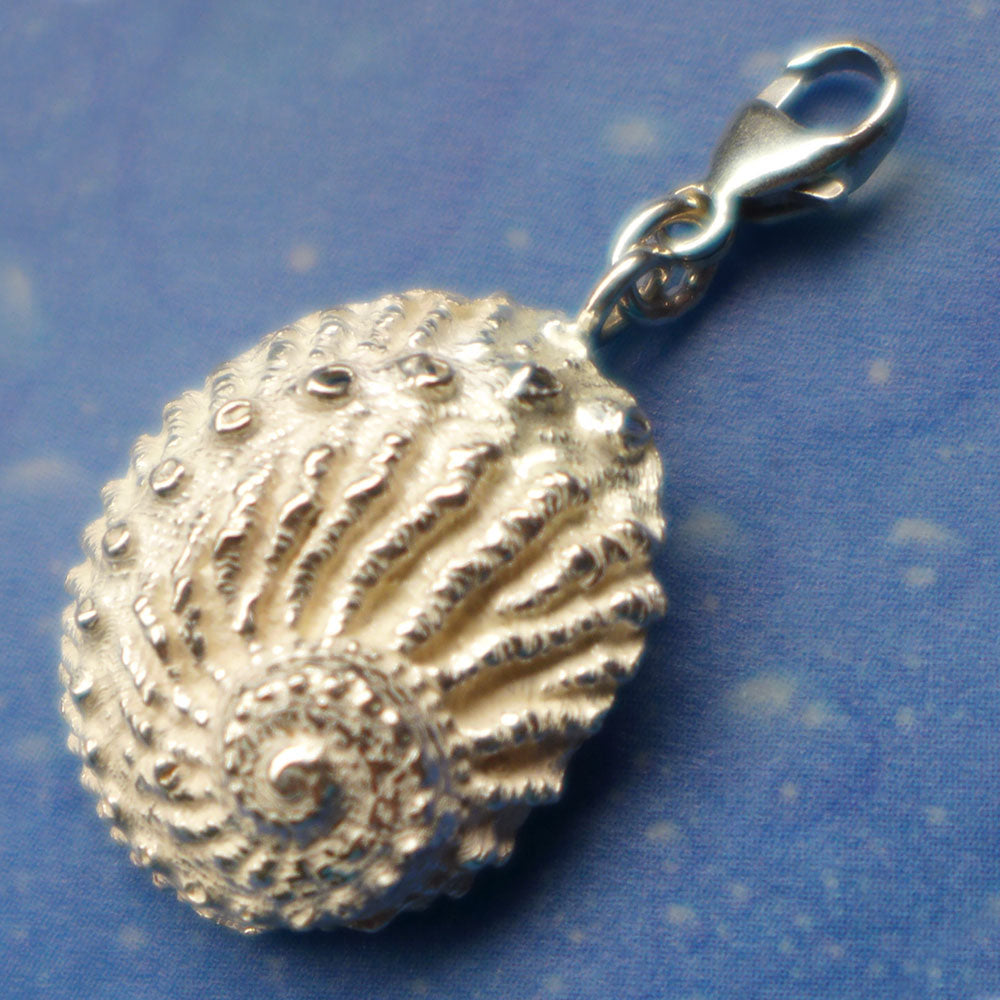 Paua Shell Charms Anhänger Meerohr