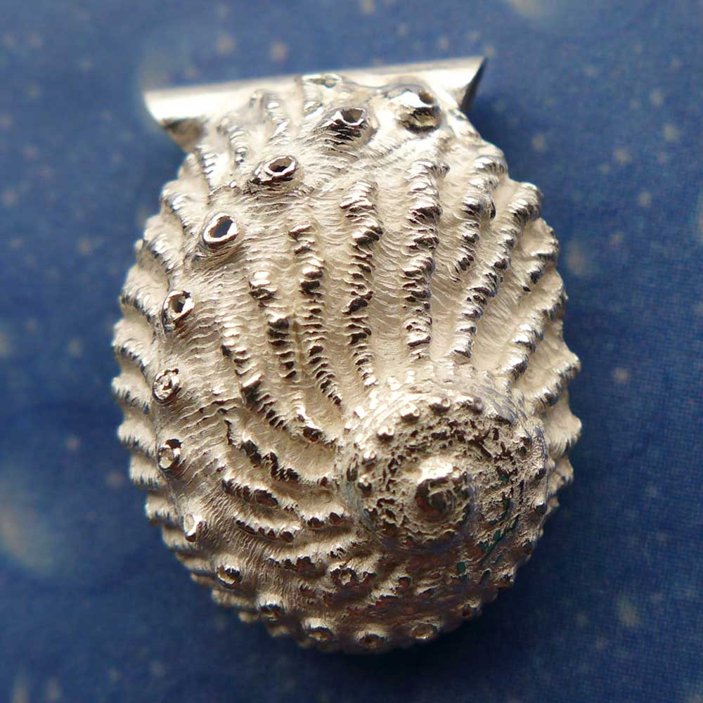 Meerohr Silber Ketten Anhänger