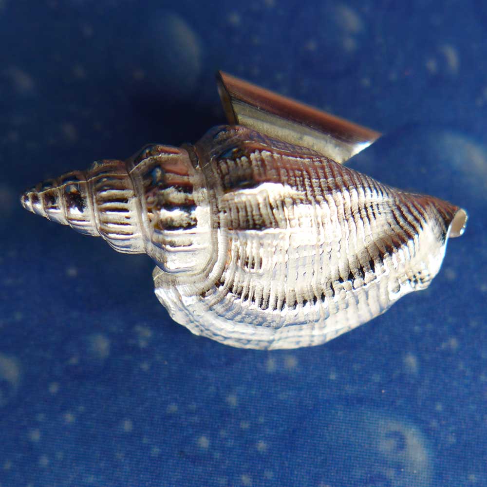 Meerschmuck Anhänger Schnecke Kleiner Bär