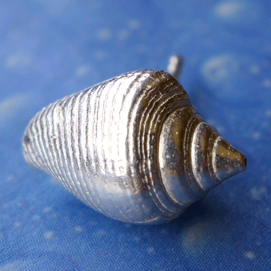 Meerweh Schmuck Lippentäubchen Ohrstecker